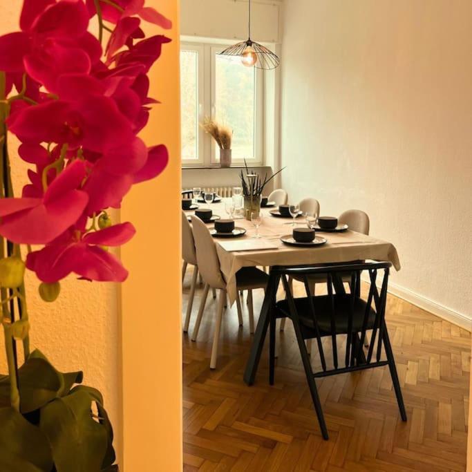 Gemuetliche Rheinblick Residenz Lägenhet Koblenz  Exteriör bild